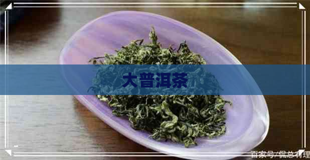 大普洱茶