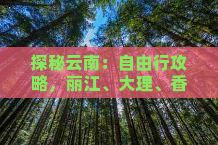 探秘云南：自由行攻略，丽江、大理、香格里拉等地不容错过的景点与体验