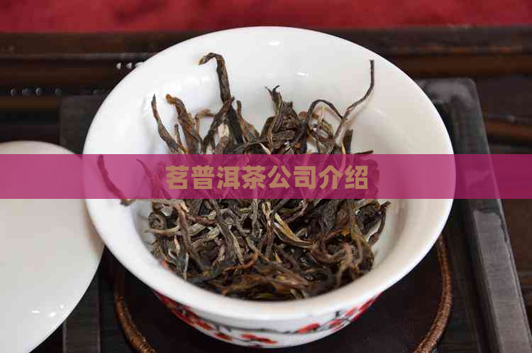 茗普洱茶公司介绍