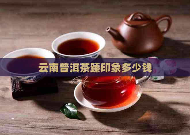 云南普洱茶臻印象多少钱