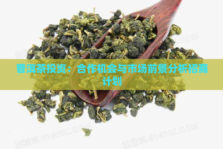 普洱茶投资：合作机会与市场前景分析招商计划