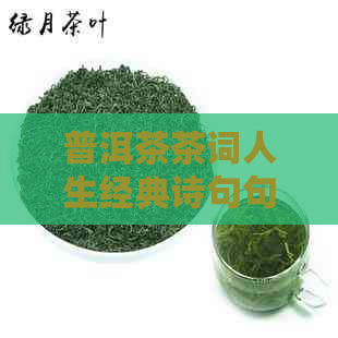 普洱茶茶词人生经典诗句句子：品鉴普洱，领悟茶语，感受茶香。