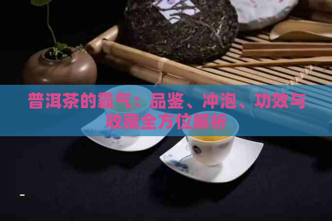 普洱茶的霸气：品鉴、冲泡、功效与收藏全方位解析