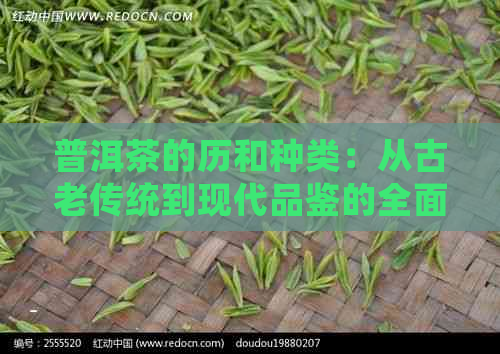 普洱茶的历和种类：从古老传统到现代品鉴的全面指南