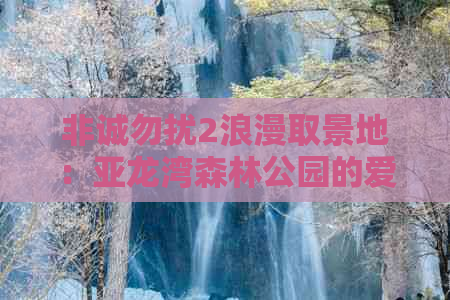 非诚勿扰2浪漫取景地：亚龙湾森林公园的爱情邂逅之旅