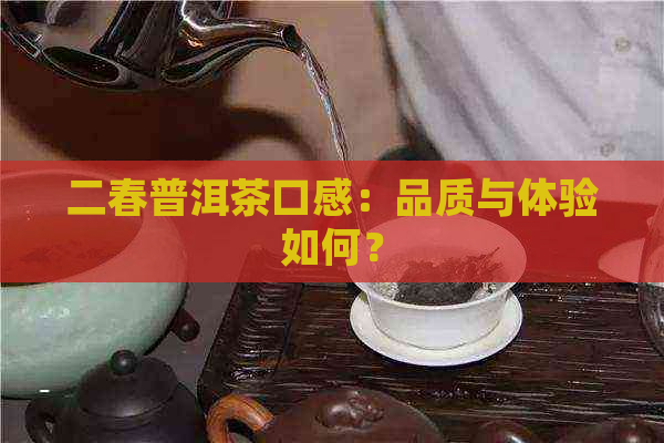 二春普洱茶口感：品质与体验如何？