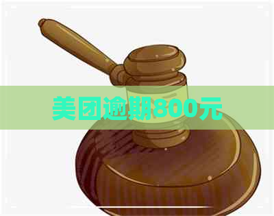 美团逾期800元