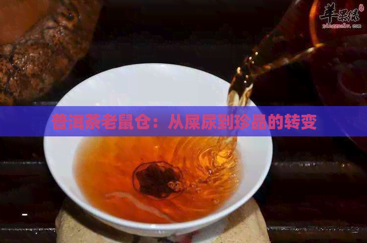 普洱茶老鼠仓：从屎尿到珍品的转变