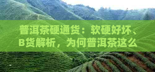 普洱茶硬通货：软硬好坏、B货解析，为何普洱茶这么硬？