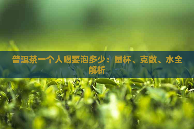 普洱茶一个人喝要泡多少：量杯、克数、水全解析