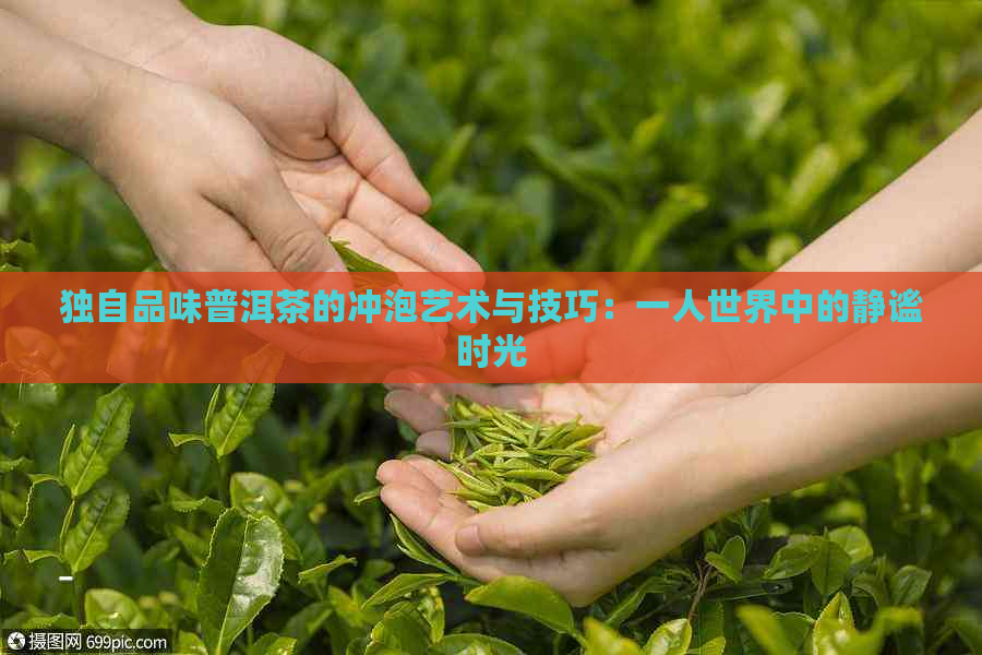 独自品味普洱茶的冲泡艺术与技巧：一人世界中的静谧时光