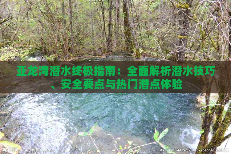 亚龙湾潜水终极指南：全面解析潜水技巧、安全要点与热门潜点体验