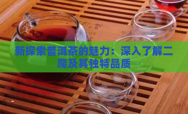 新探索普洱茶的魅力：深入了解二爬及其独特品质