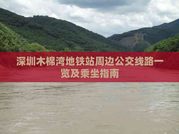 深圳木棉湾地铁站周边公交线路一览及乘坐指南