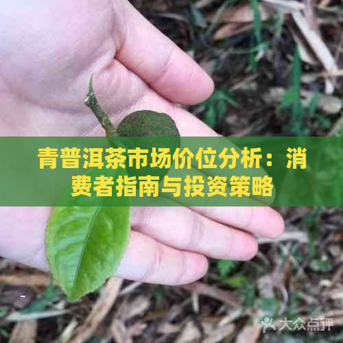 青普洱茶市场价位分析：消费者指南与投资策略