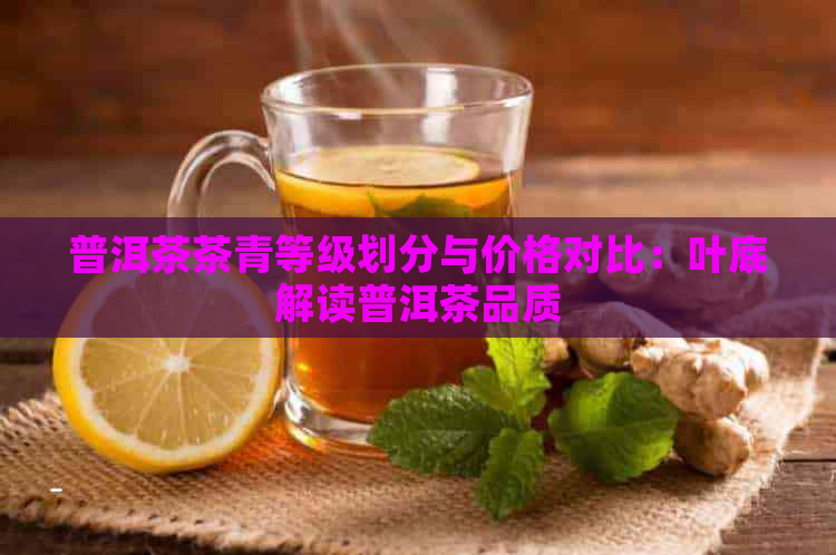 普洱茶茶青等级划分与价格对比：叶底解读普洱茶品质