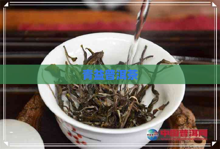 青益普洱茶