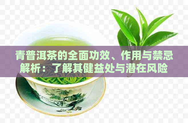 青普洱茶的全面功效、作用与禁忌解析：了解其健益处与潜在风险