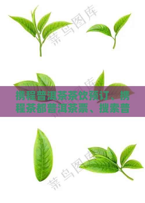 携程普洱茶茶饮预订、携程茶都普洱茶票、搜索普洱茶，包含全部意思。