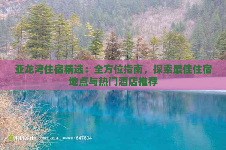 亚龙湾住宿精选：全方位指南，探索更佳住宿地点与热门酒店推荐