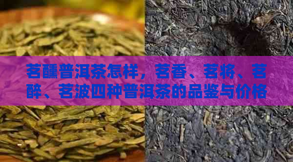 茗醺普洱茶怎样，茗香、茗将、茗醉、茗波四种普洱茶的品鉴与价格全解析