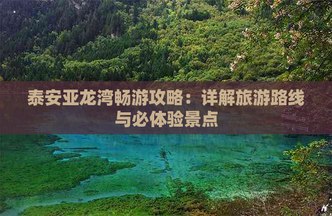 泰安亚龙湾畅游攻略：详解旅游路线与必体验景点