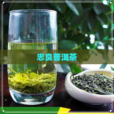 忠良普洱茶