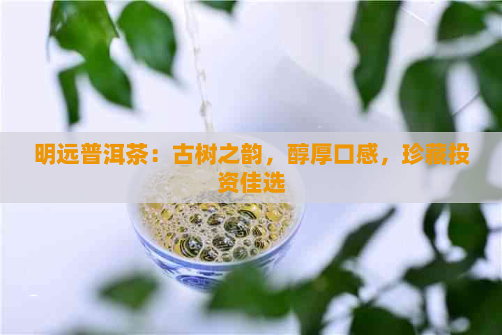 明远普洱茶：古树之韵，醇厚口感，珍藏投资佳选