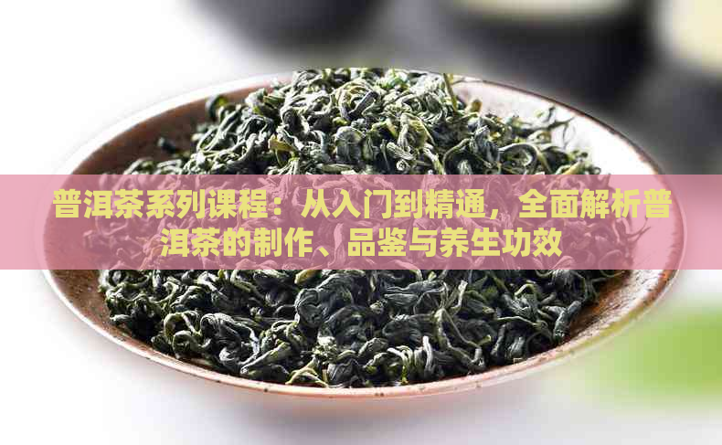 普洱茶系列课程：从入门到精通，全面解析普洱茶的制作、品鉴与养生功效