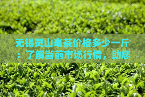 无锡灵山毫茶价格多少一斤：了解当前市场行情，助您轻松购茶。