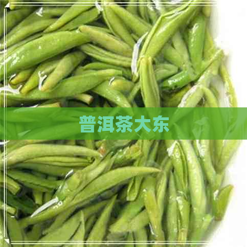 普洱茶大东