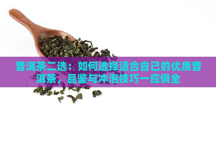 普洱茶二选：如何选择适合自己的优质普洱茶，品鉴与冲泡技巧一应俱全