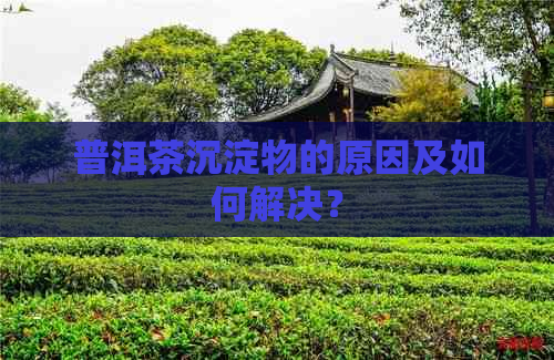 普洱茶沉淀物的原因及如何解决？