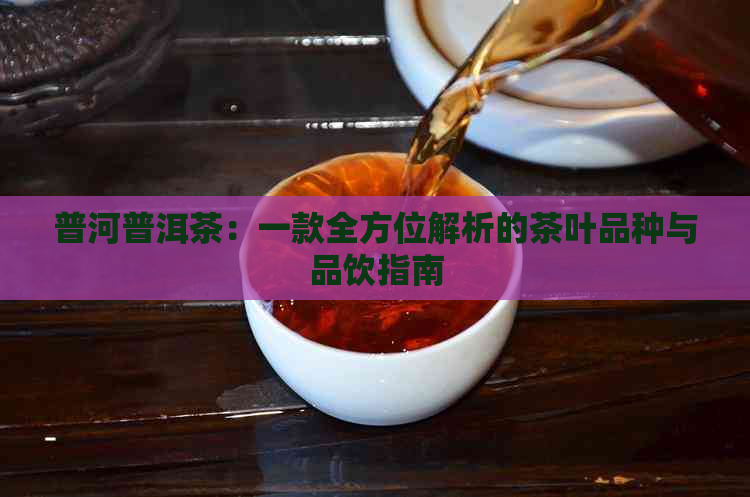 普河普洱茶：一款全方位解析的茶叶品种与品饮指南