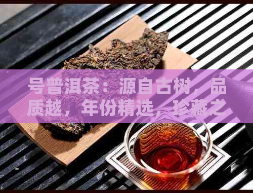 号普洱茶：源自古树，品质越，年份精选，珍藏之选