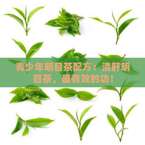 青少年明目茶配方：清肝明目茶，最有效的功！