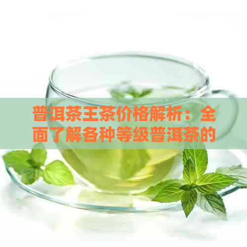 普洱茶王茶价格解析：全面了解各种等级普洱茶的价格区间