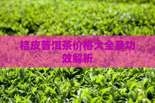 桔皮普洱茶价格大全及功效解析