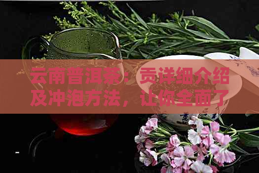 云南普洱茶：贡详细介绍及冲泡方法，让你全面了解这款茶叶的魅力