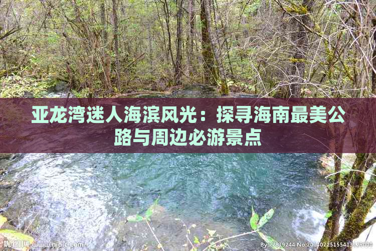 亚龙湾迷人海滨风光：探寻海南最美公路与周边必游景点