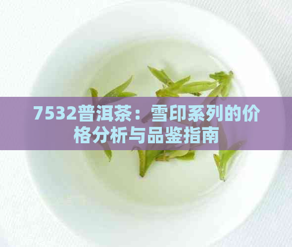 7532普洱茶：雪印系列的价格分析与品鉴指南