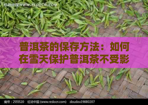 普洱茶的保存方法：如何在雪天保护普洱茶不受影响？