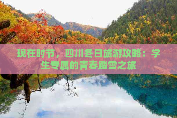 现在时节，四川冬日旅游攻略：学生专属的青春踏雪之旅