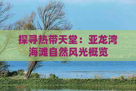 探寻热带天堂：亚龙湾海滩自然风光概览