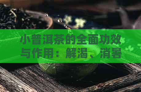 小普洱茶的全面功效与作用：解渴、消暑、减肥、降脂、抗衰老等多方面益处