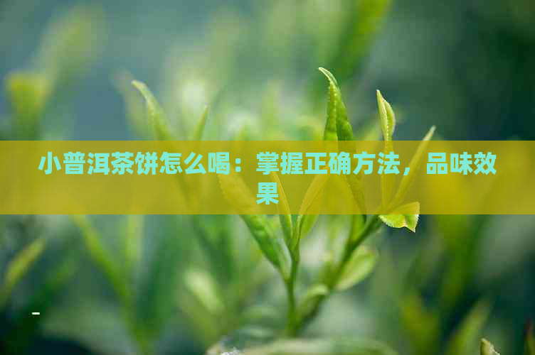 小普洱茶饼怎么喝：掌握正确方法，品味效果