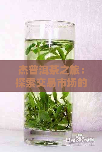 杰普洱茶之旅：探索交易市场的独特魅力