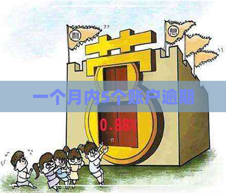 一个月内5个账户逾期