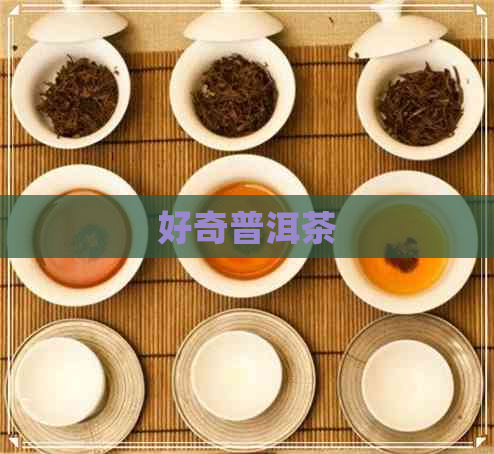 好奇普洱茶