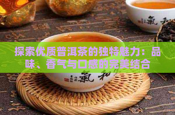 探索优质普洱茶的独特魅力：品味、香气与口感的完美结合